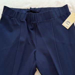 Sejour Navy Blue Pleated Pants